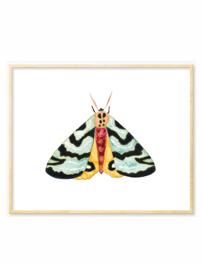 Blue Moth Art Print