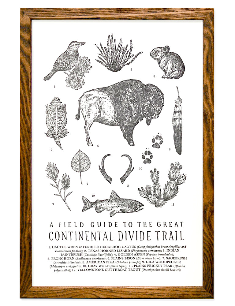 Continental Divide Field Guide Print