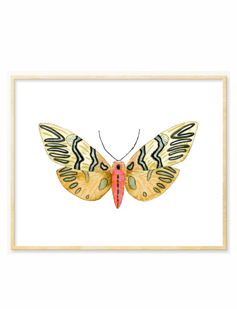 Gold Moth Art Print