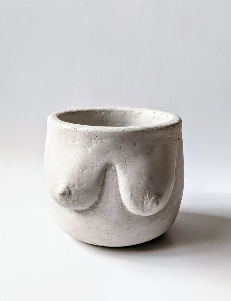 big succulent boobs Large Boob Concrete Planter – Drift & Amble