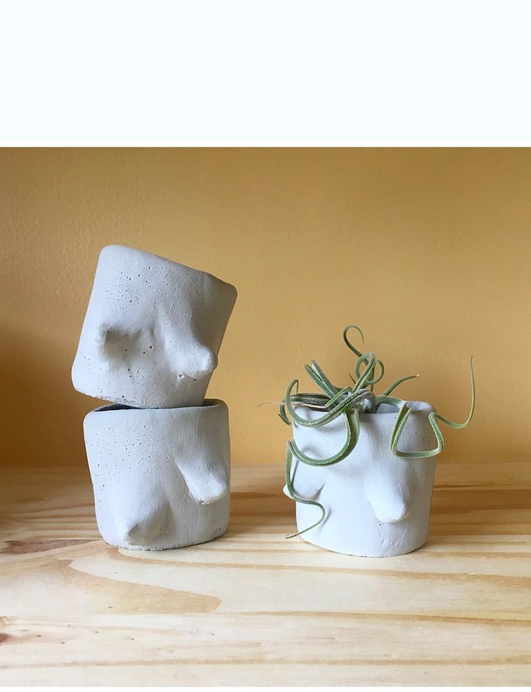 boob pot plant Concrete Mini Boob Pot – Drift & Amble