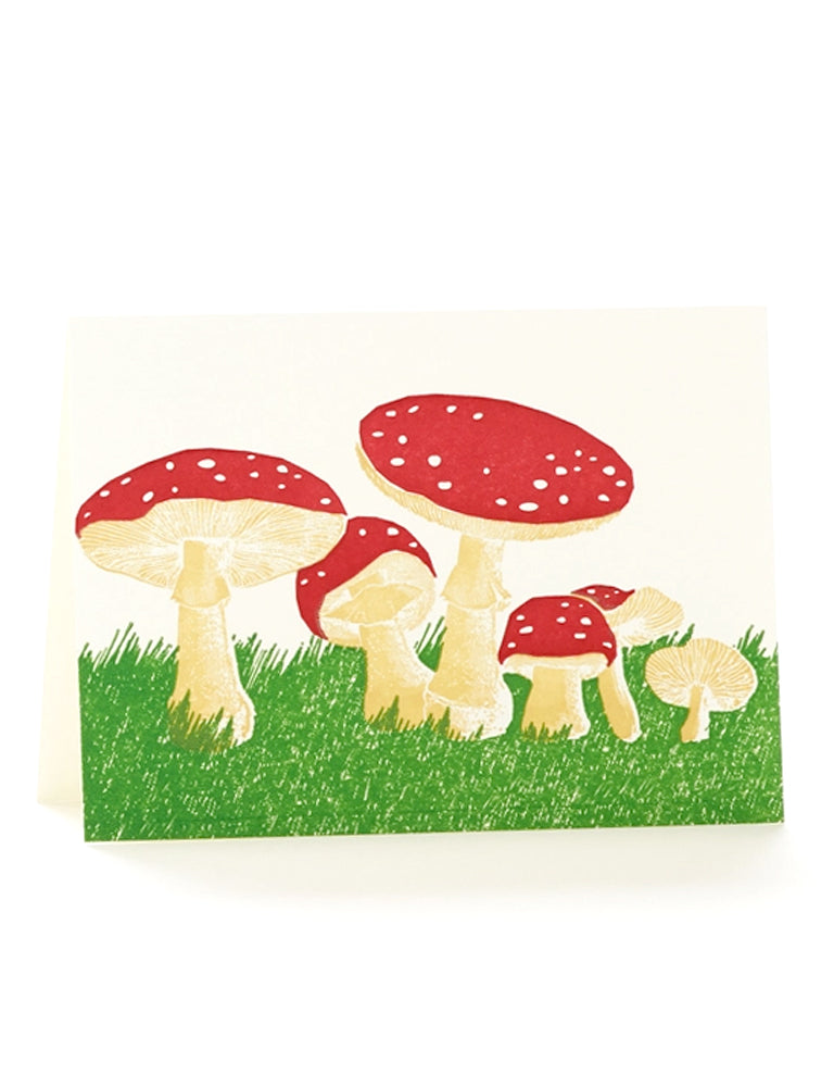 Mushrooms Card Set of 6