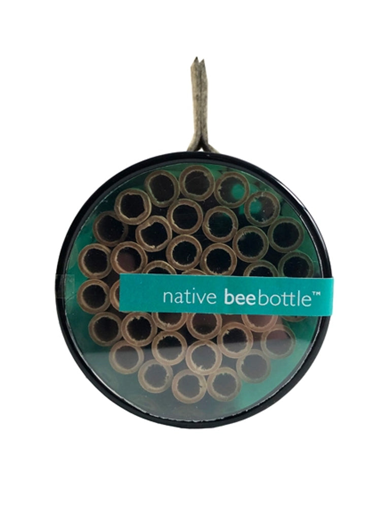 Native Bee Bottle